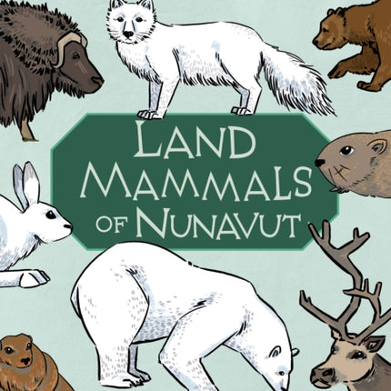 Junior Field Guide: Land Mammals: English Edition