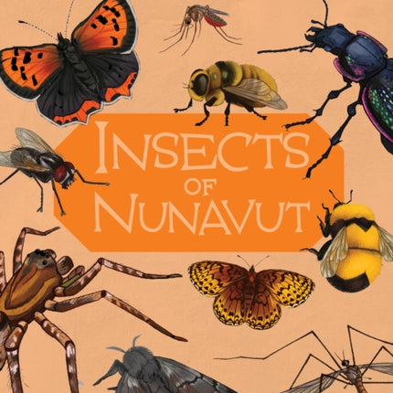 Junior Field Guide: Insects of Nunavut: English Edition