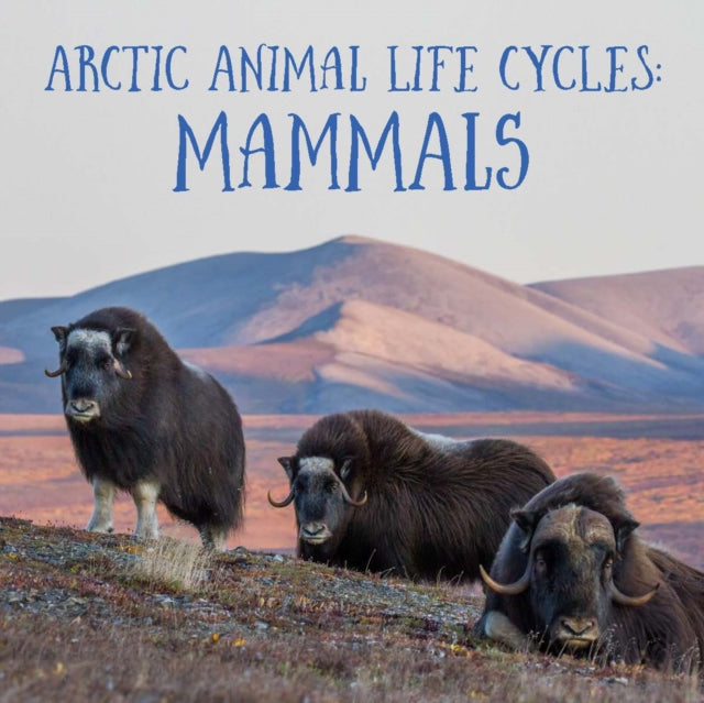 Arctic Animal Life Cycles: Mammals: English