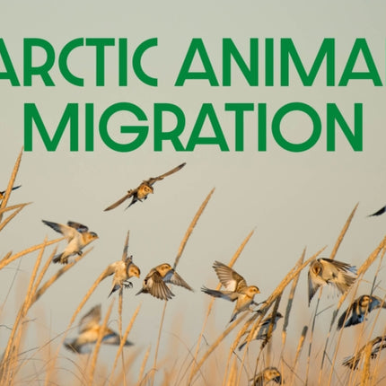 Arctic Animal Migration