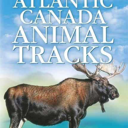 Atlantic Canada Animal Tracks