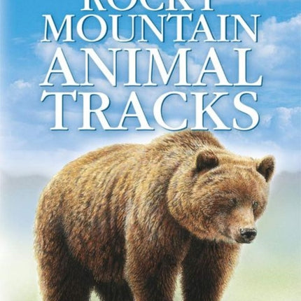 Rocky Mountain Animal Tracks