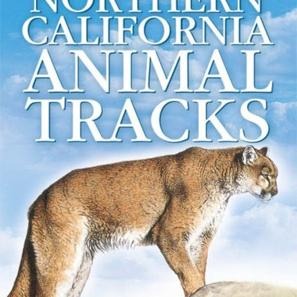 Northern California Animal Tracks