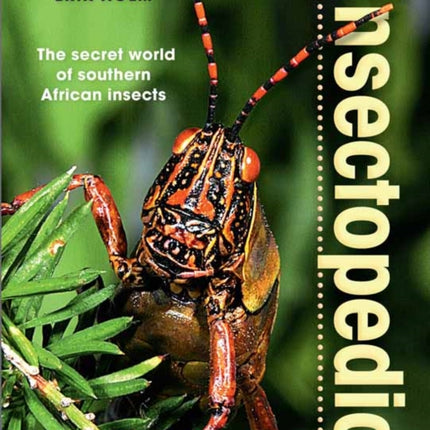 Insectopedia – The secret world of southern African insects