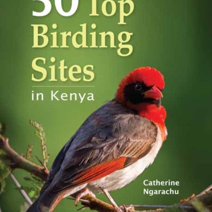 50 Top Birding Sites in Kenya