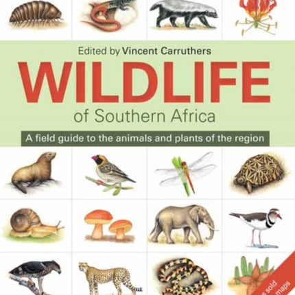 The Wildlife of Southern Africa