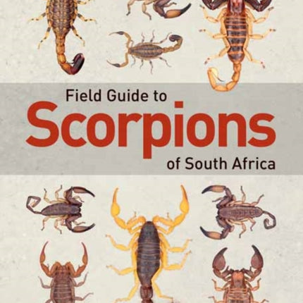 Field Guide to Scorpions of South Africa