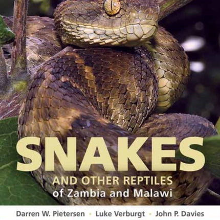 Field Guide to Snakes and other Reptiles of Zambia and Malawi