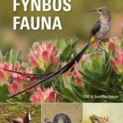 Field Guide to Fynbos Fauna
