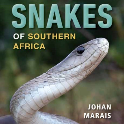 A Complete Guide to the Snakes of Southern Africa