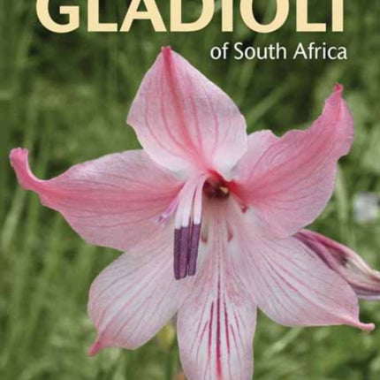 Saunders’ Field Guide to Gladioli of South Africa