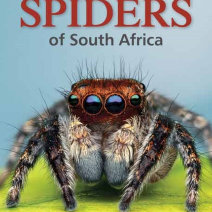 Field Guide to the Spiders of South Africa