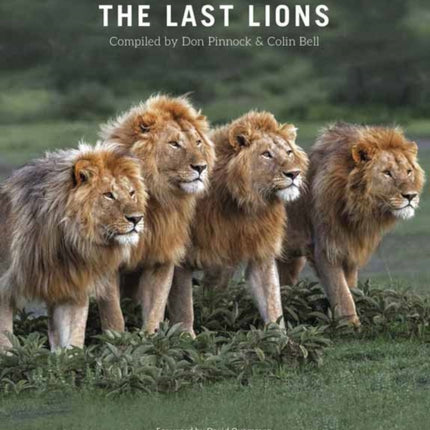 The Last Lions