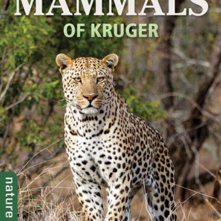 Mammals of Kruger
