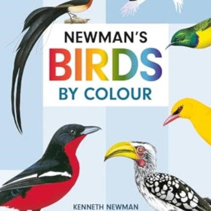 Newmans Birds by Colour