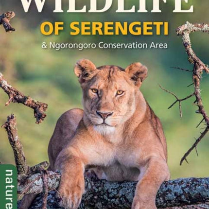Wildlife of Serengeti  Ngorongoro Conservation