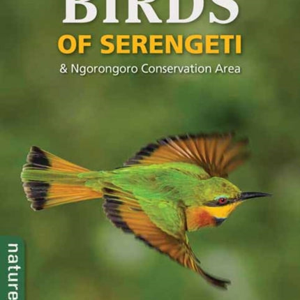 Birds of Serengeti  Ngorongoro Conservation Area