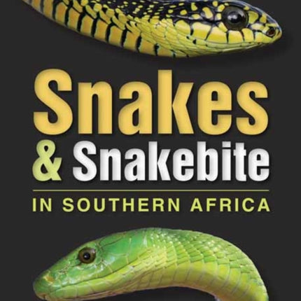 Snakes  Snakebite in Southern Africa