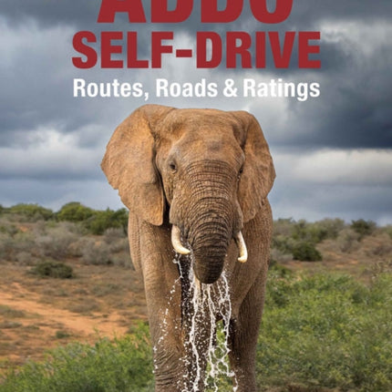 Addo Self-drive: Routes, Roads & Ratings