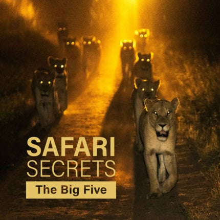 Safari Secrets: The Big Five