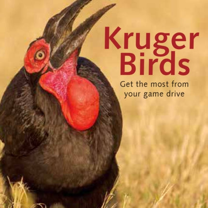 Kruger Birds - Second Edition