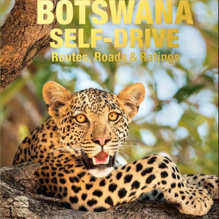 Botswana Self-drive: Routes, Roads and Ratings