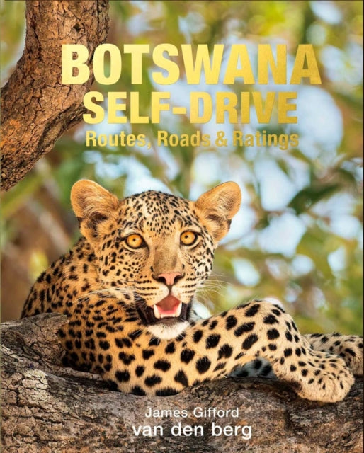 Botswana Self-drive: Routes, Roads and Ratings