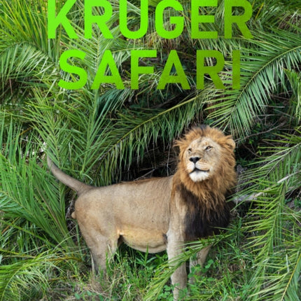 Kruger Safari