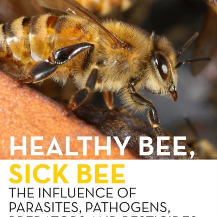 Healthy Bee, Sick Bee