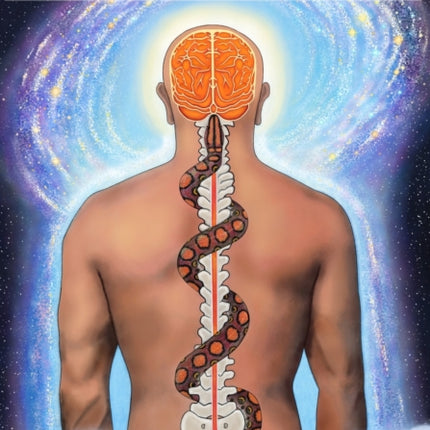 Serpent Rising: The Kundalini Compendium (Standard Edition): The World's Most Comprehensive Body of Work on Human Energy Potential
