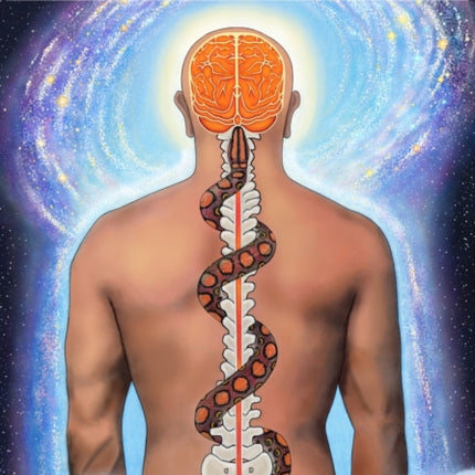 Serpent Rising: The Kundalini Compendium (Deluxe Colour Edition): The World's Most Comprehensive Body of Work on Human Energy Potential