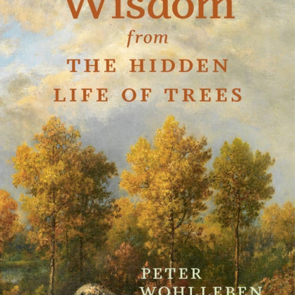 Wisdom from the Hidden Life of Trees