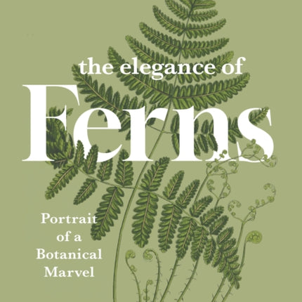 The Elegance of Ferns