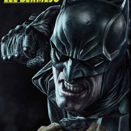 DC Comics: The Art of Lee Bermejo