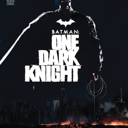 Batman: One Dark Knight