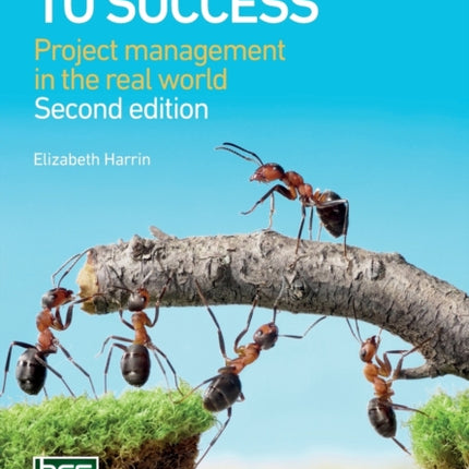 Shortcuts to success: Project management in the