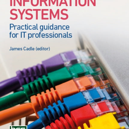 Developing Information Systems: Practical guidance for IT professionals