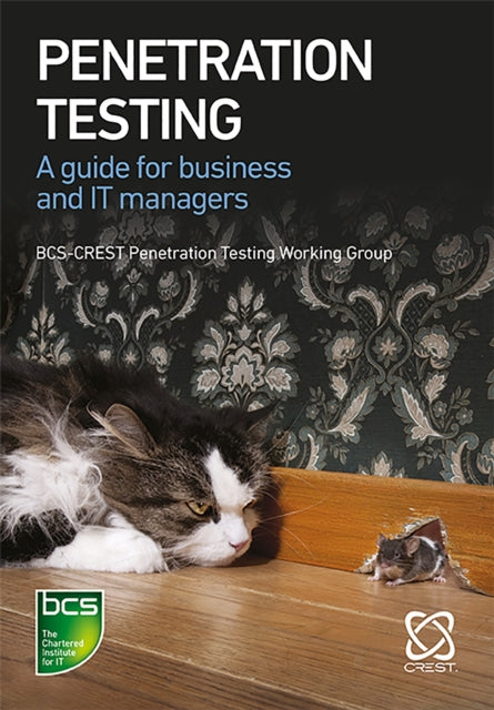 Penetration Testing: A guide for business and IT managers