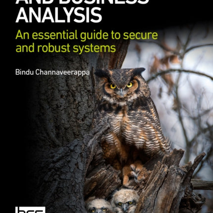 Cyber Security and Business Analysis