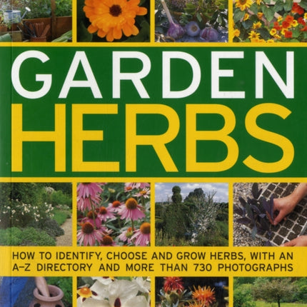 Practical Guide to Garden Herbs