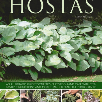 Hostas: an Illustrated Guide to Varieties,