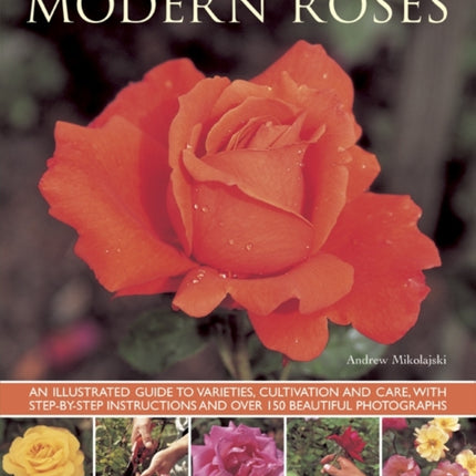 Modern Roses