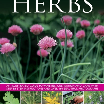 Herbs: An Illustrated Guide to Varieties, Cultivation and Care, with Step-by-step Instructions and Over 160 Beautiful Photographs