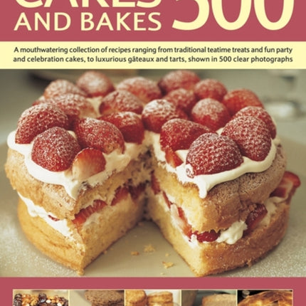 Cakes and Bakes 500