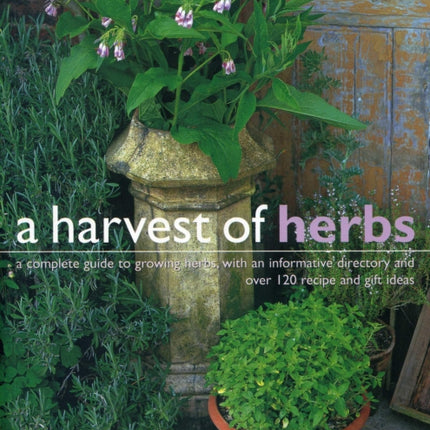 Harvest of Herbs