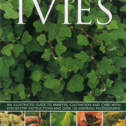 Ivies