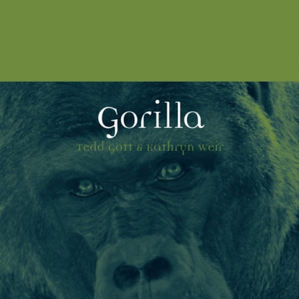 Gorilla Animal Animal Series