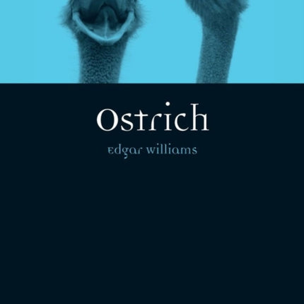 Ostrich Animal Series