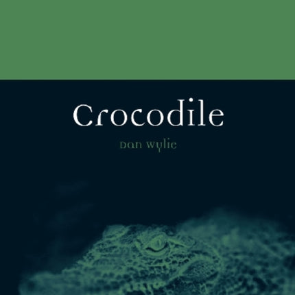 Crocodile
