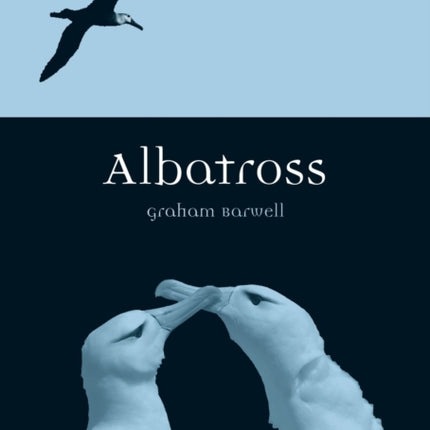 Albatross